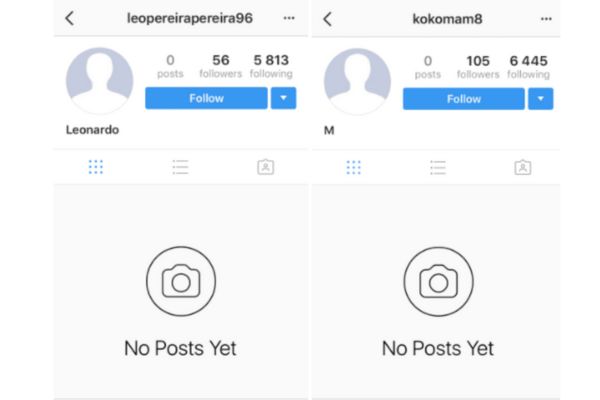 Fake Followers and Bots